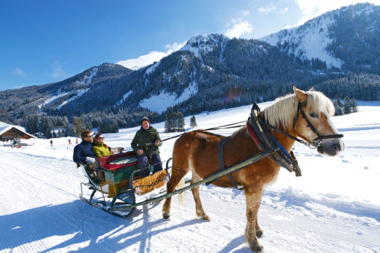 Pferdeschlittenfahrten im Ski- & Winterurlaub in Radstadt, Salzburger Land